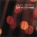 Gin Blossoms : Follow You Down